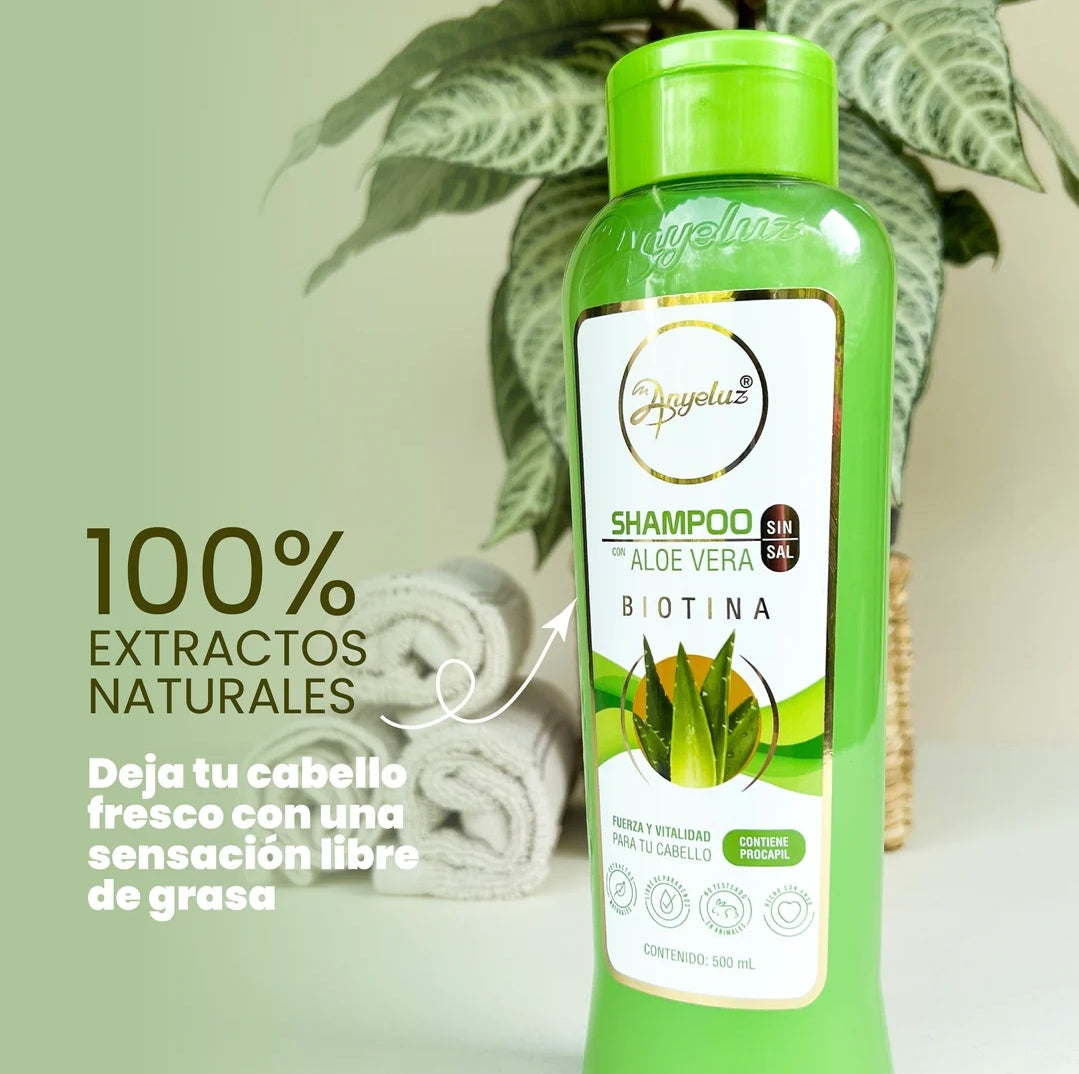 aloe vera plant shampoo Shampoo Aloe Vera Anyeluz